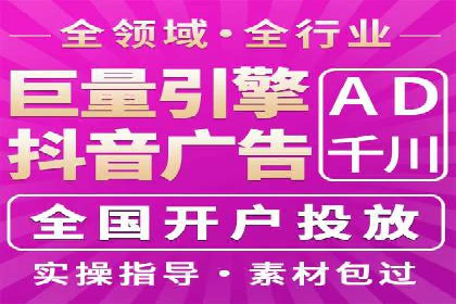 抖音信息流代理在电商行业的应用案例分析